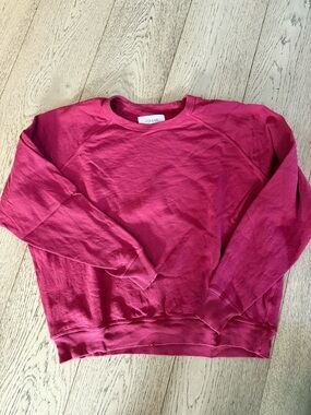 The Great.  College sweatshirt in sweet plum.